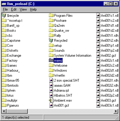 Screenshot showing some of the files in the root of the main partition