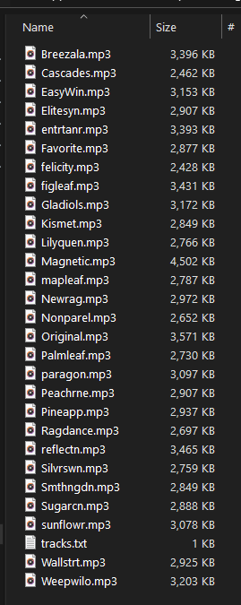 The music directory listing, showing a long list of MP3 files